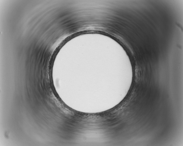 X0000103480972200810100955