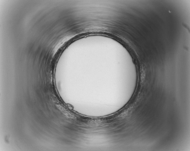 X0000103480973200810100955