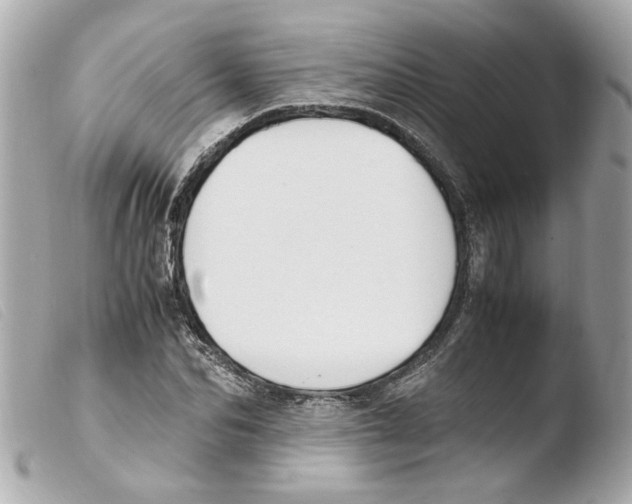 X0000103480974200810100955