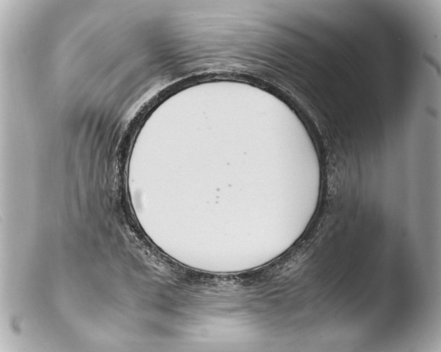 X0000103480975200810100955