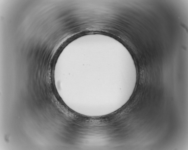 X0000103480976200810100955