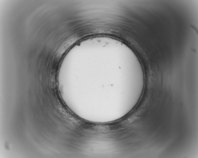 X0000103480977200810100955