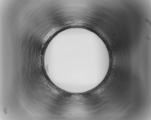 X0000103480978200810100955