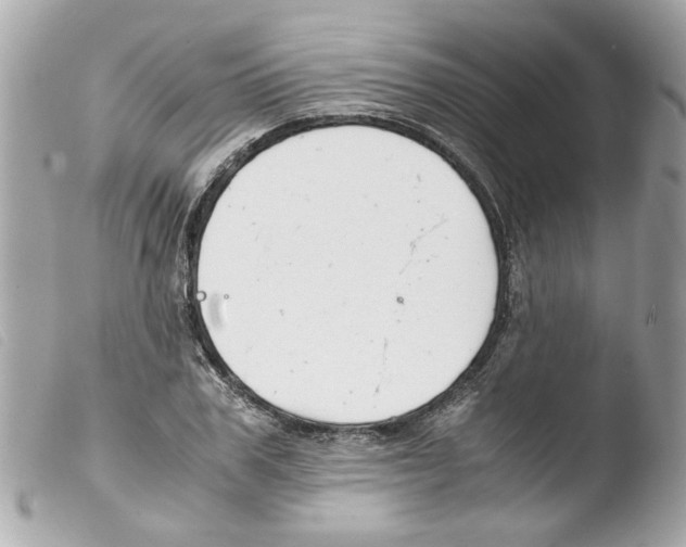 X0000103480979200810100955