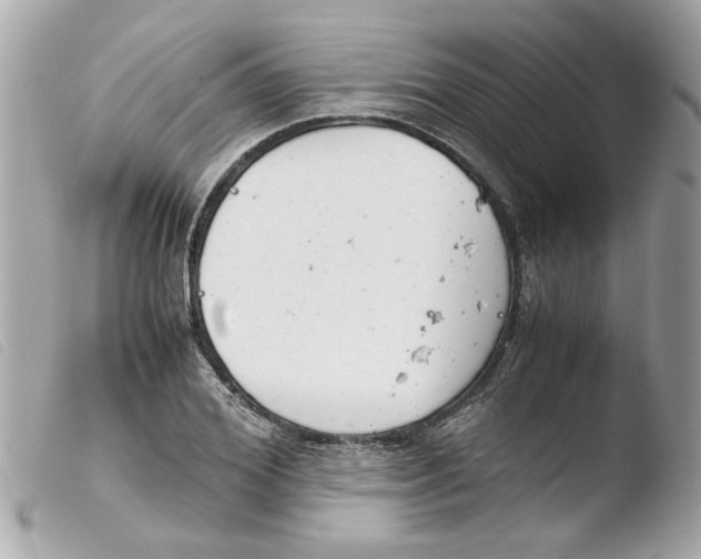 X0000103480980200810100955