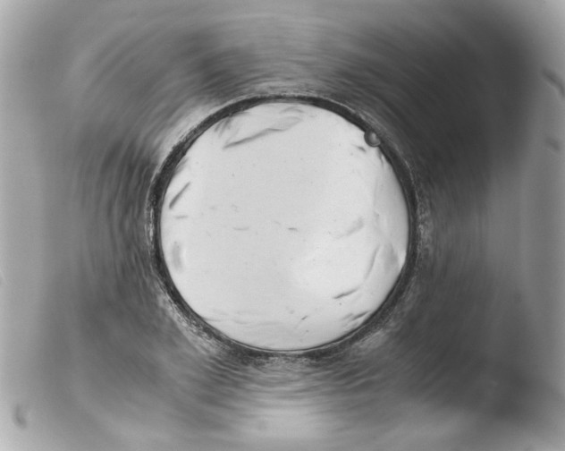 X0000103480981200810100955