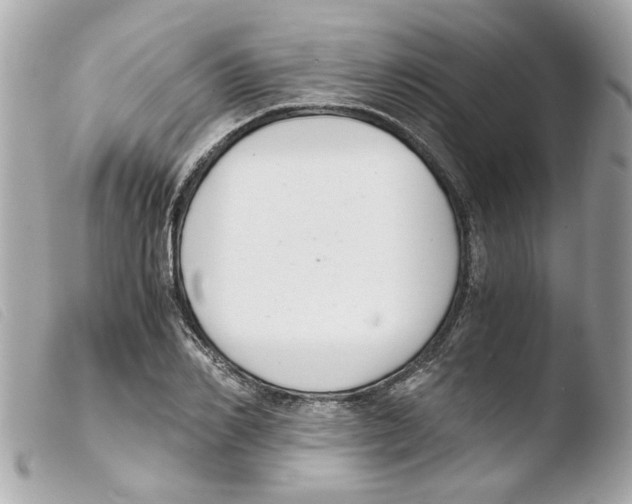 X0000103480982200810100955