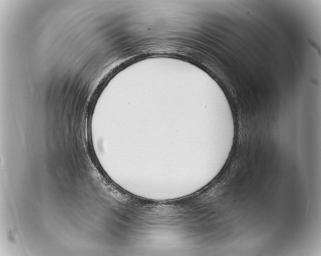 X0000103480984200810100955