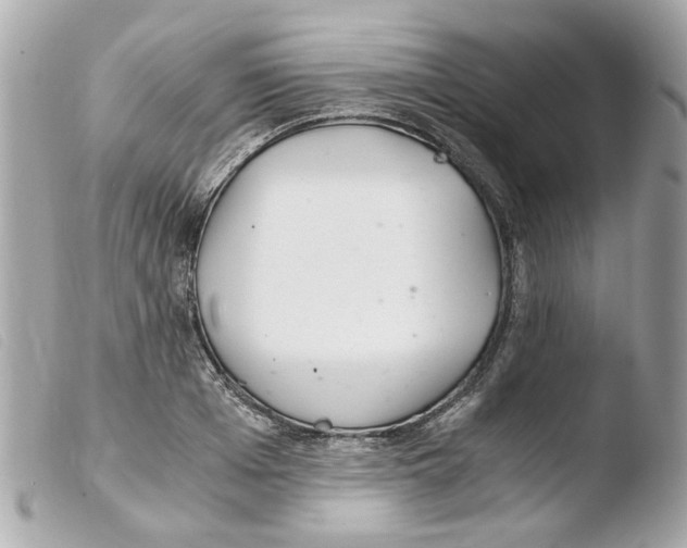 X0000103480985200810100955