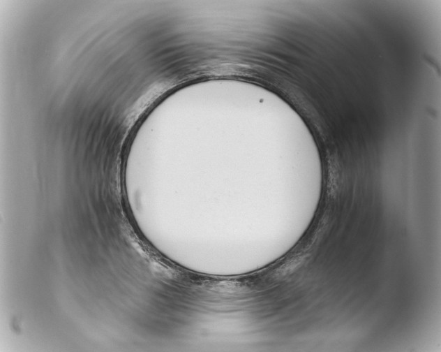 X0000103480986200810100955
