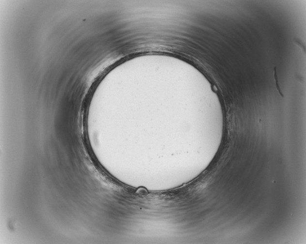 X0000103480987200810100955