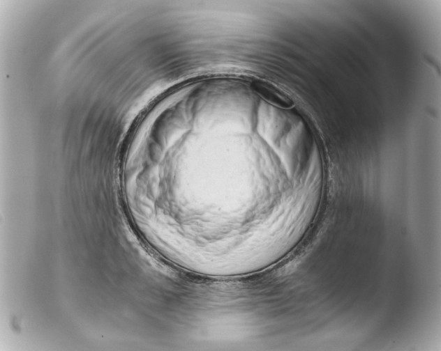 X0000103480989200810100955