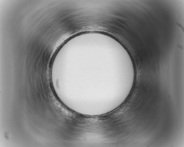 X0000103480990200810100955