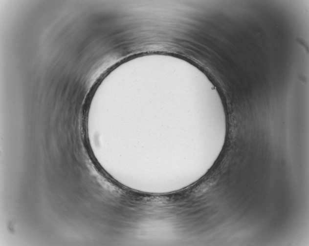 X0000103480991200810100955