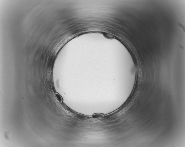 X0000103480993200810100955