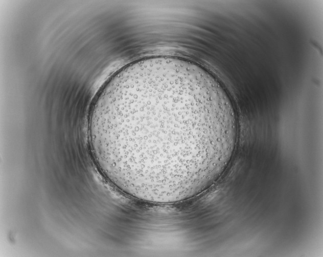 X0000103480994200810100955