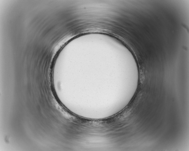 X0000103480995200810100955