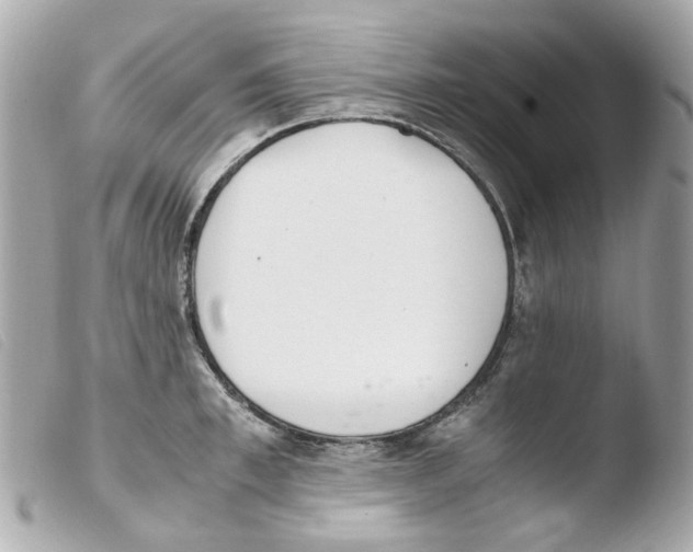 X0000103480997200810100955