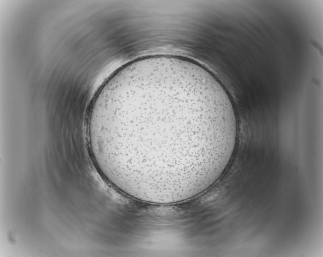 X0000103480998200810100955