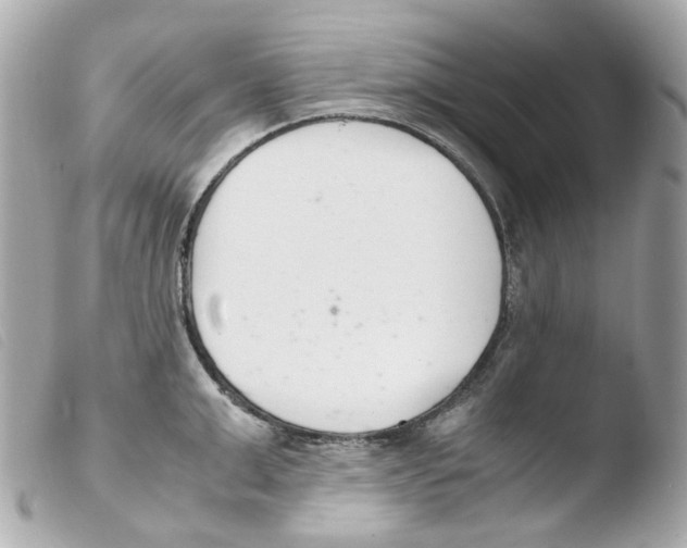 X0000103480999200810100955