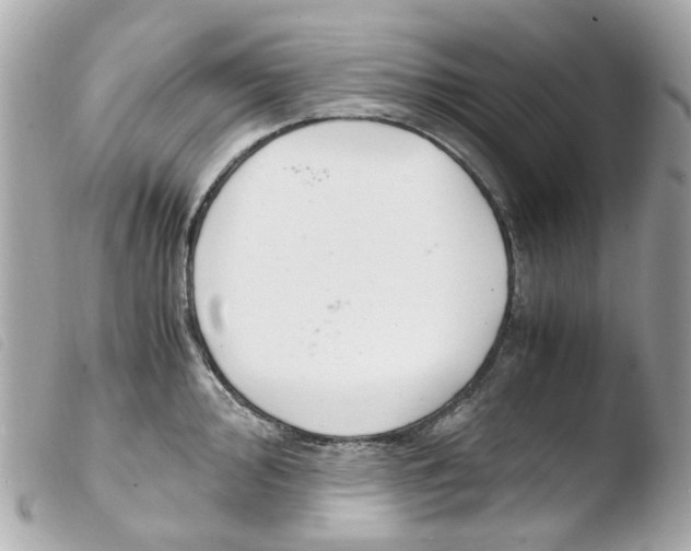 X0000103481000200810100955