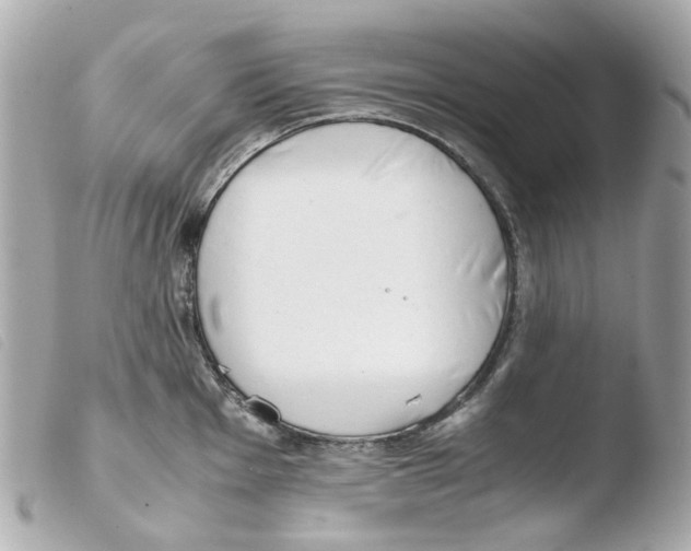 X0000103481001200810100955