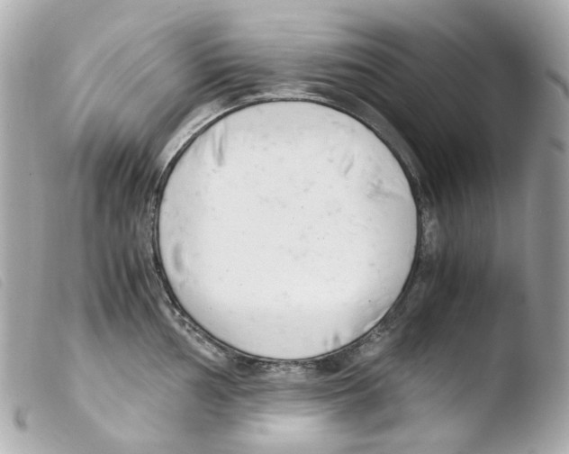 X0000103481002200810100955