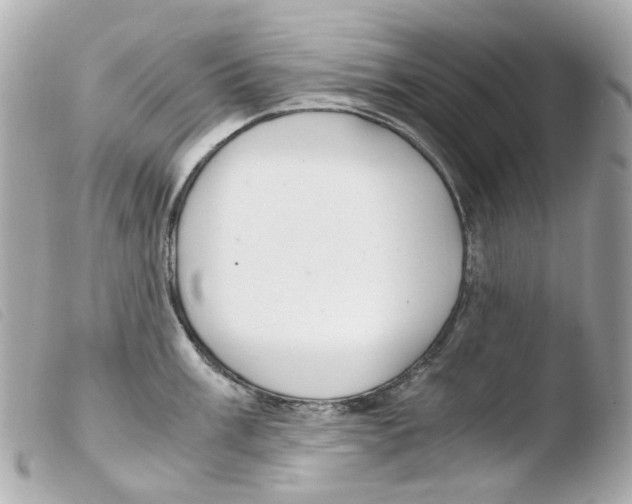 X0000103481003200810100955