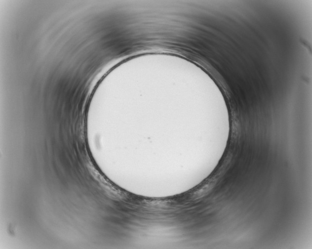 X0000103481004200810100955