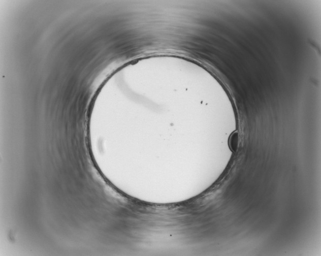 X0000103481005200810100955