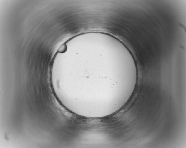 X0000103481006200810100955