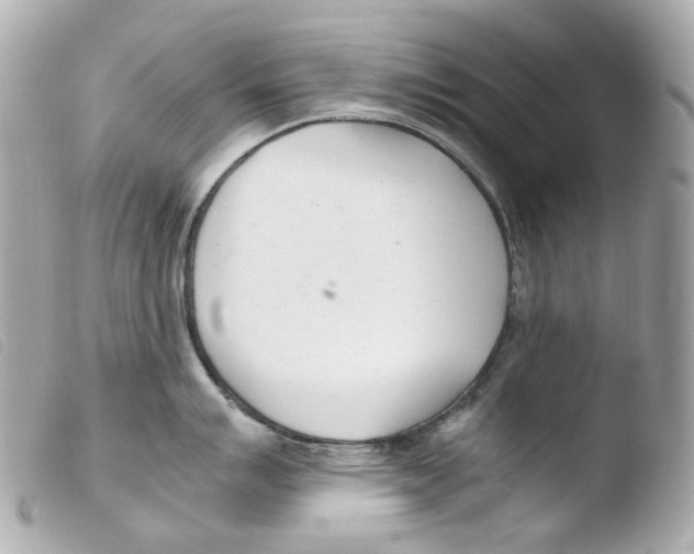 X0000103481007200810100955