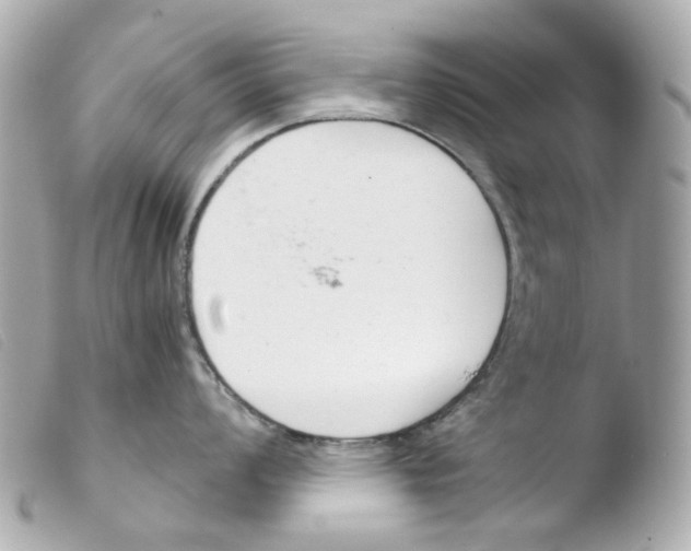 X0000103481008200810100955