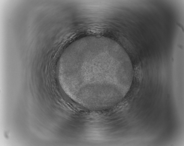 X0000103481009200810100954