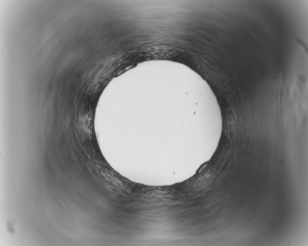 X0000103481010200810100954