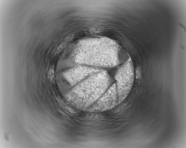 X0000103481011200810100954