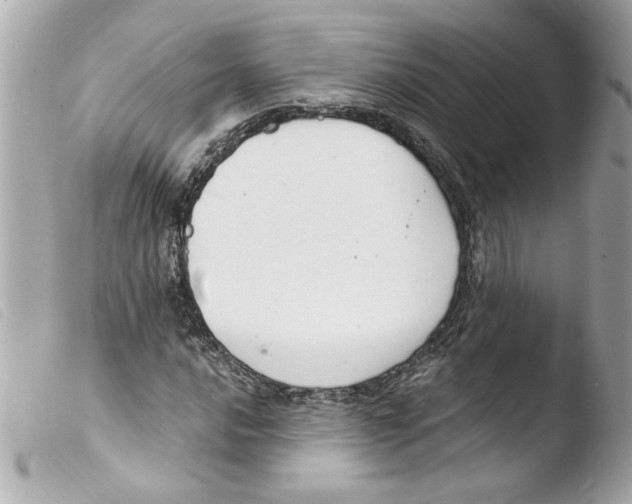 X0000103481016200810100954