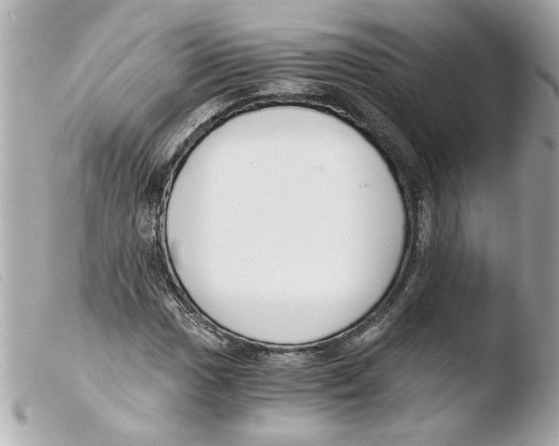 X0000103481017200810100954