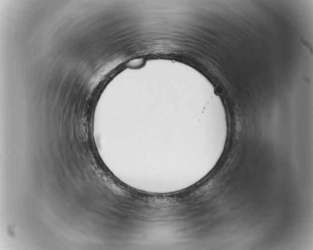 X0000103481018200810100954