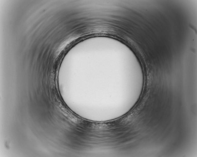 X0000103481019200810100954