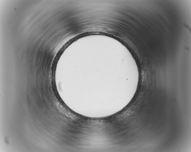 X0000103481020200810100954