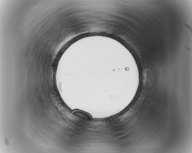 X0000103481021200810100954