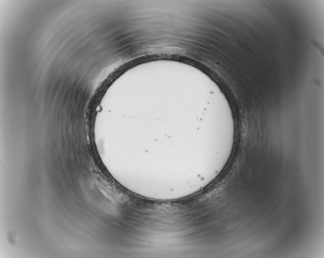 X0000103481022200810100954