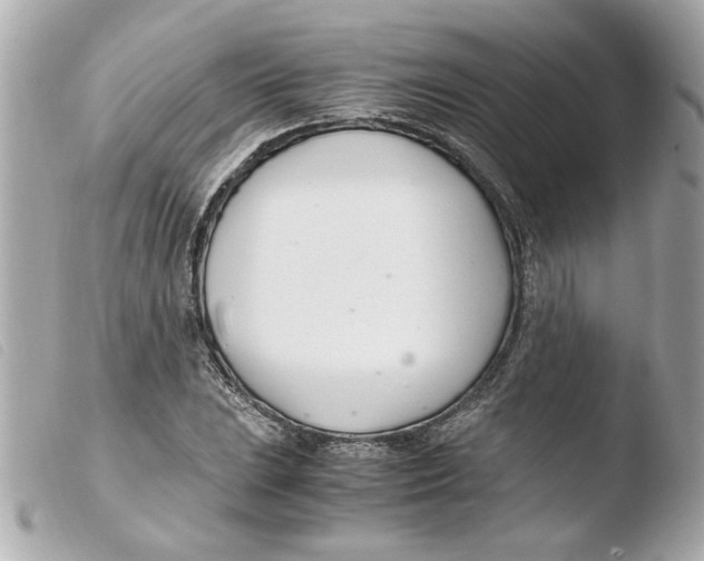 X0000103481023200810100954
