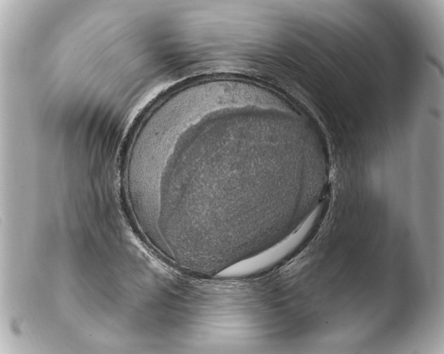 X0000103481024200810100954
