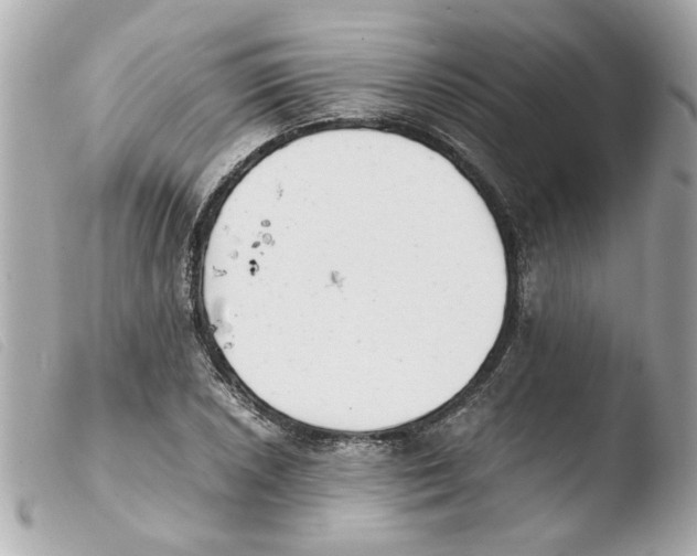 X0000103481026200810100954