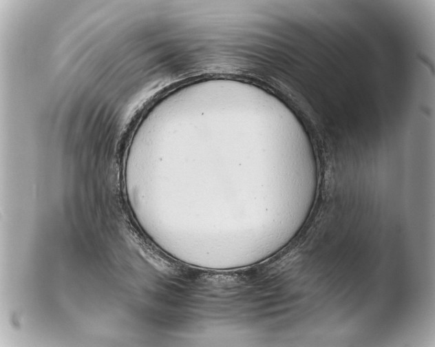 X0000103481027200810100954