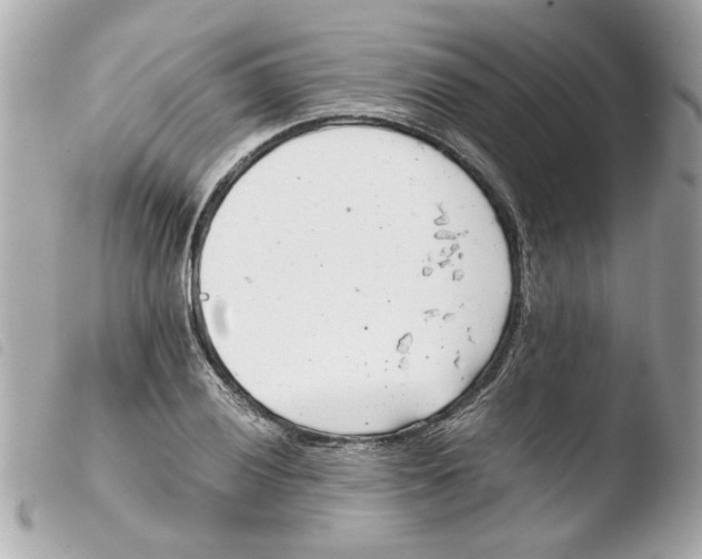 X0000103481028200810100954