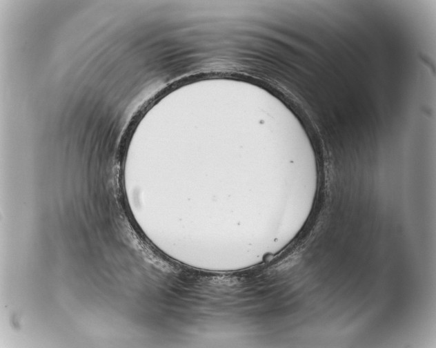 X0000103481029200810100954