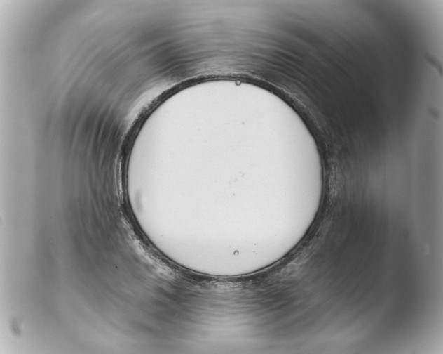 X0000103481030200810100954
